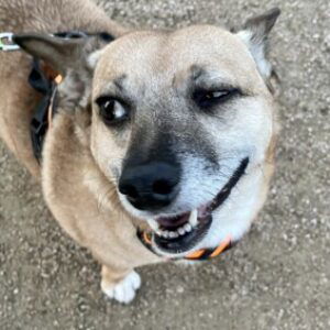 Profile photo of Jackie Hanson