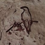 Profile photo of nolanam