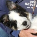 Profile photo of karenmacpherson