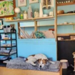 Profile photo of Bronnie Harnett