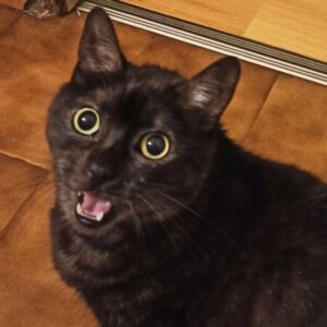 Profile photo of Unknown Member