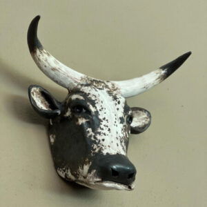 Profile photo of Unknown Member