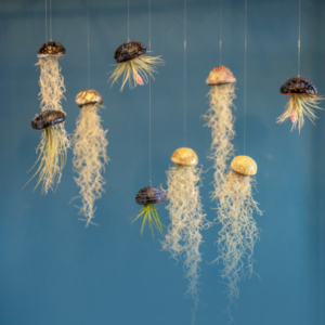 Profile photo of Mateja Habazin Lizzi