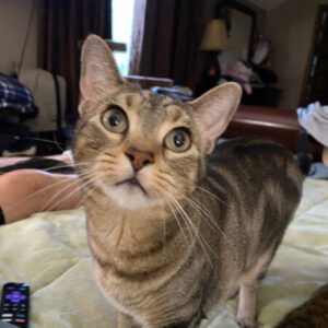 Profile photo of Denise