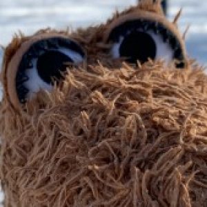 Profile photo of Kari