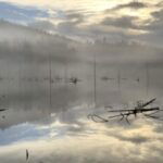 Profile photo of Laura Friesan