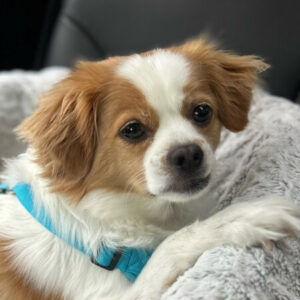 Profile photo of jesse