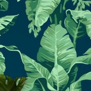 Profile photo of Amberley Cooke