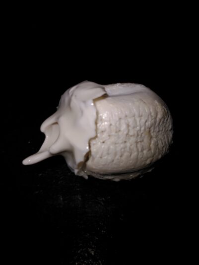 085ff96a-bdd0-4c80-8a6f-37a75acfe23a