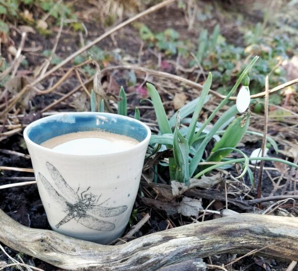 b0cdd261-7d5e-4a72-8c47-41e965eb8677