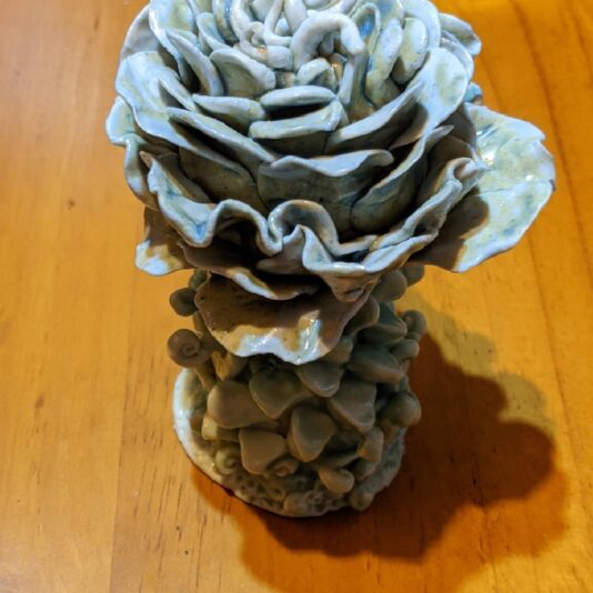 IMG_20210516_162424_847