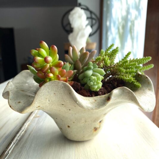 8C9EF1DC-45AD-48D8-8BF7-4BFA4D653029