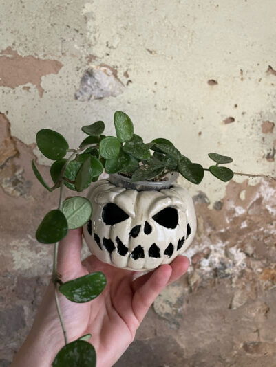 25609AA7-FFE0-4073-A233-0A192E1EF3B7