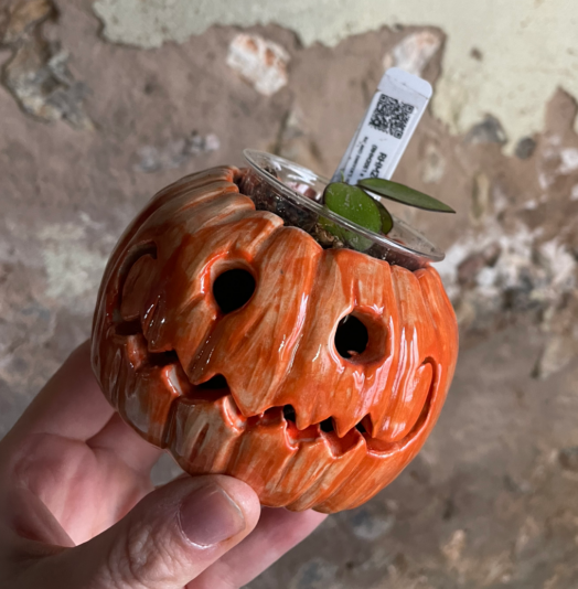 C384CF31-0819-49DB-B0D8-239D1E08D960