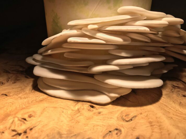 BA756761-C6D1-4D6E-8B5D-A530D1B0D160