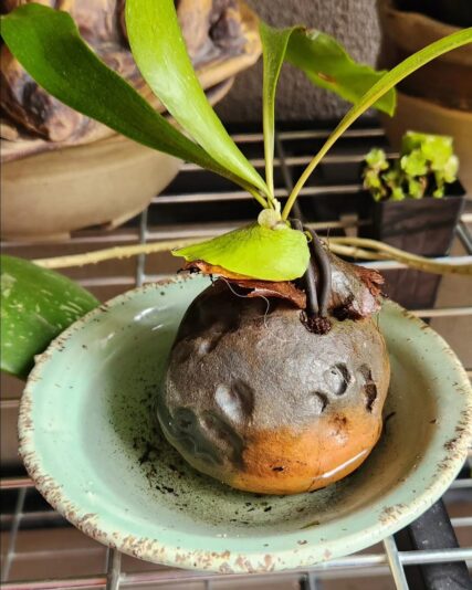 6285fb5e-b285-494d-a297-5e88fb3dcde5