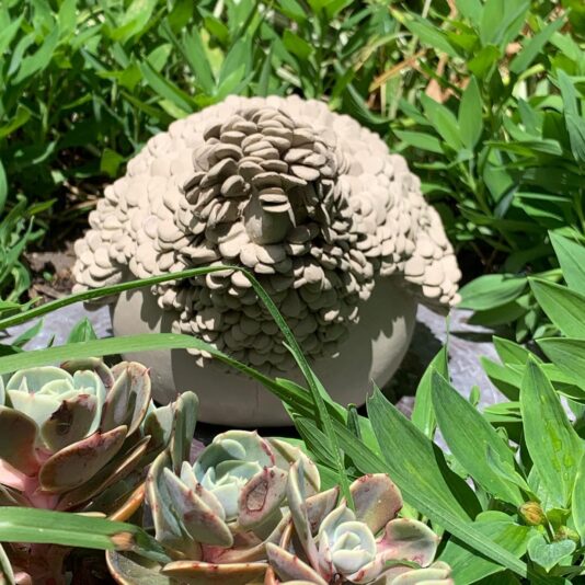 2_Gallinas_Decorativa