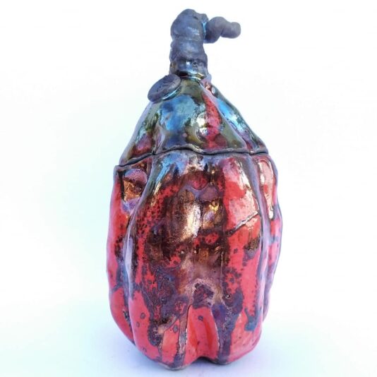 79600696_2754135287940601_368264905574318080_n