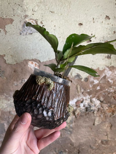 944507DD-0E60-4FB7-A601-801E9BC7D4B6