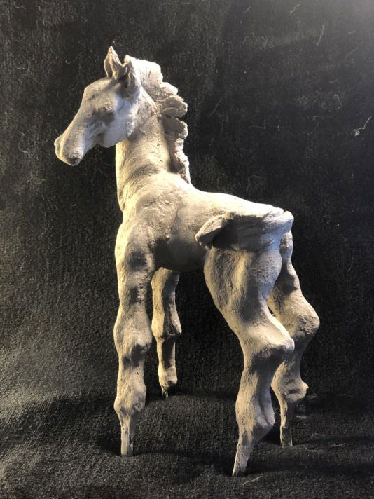 5511F5AE-C9E7-4DA1-9B01-1B051ADAC9B2