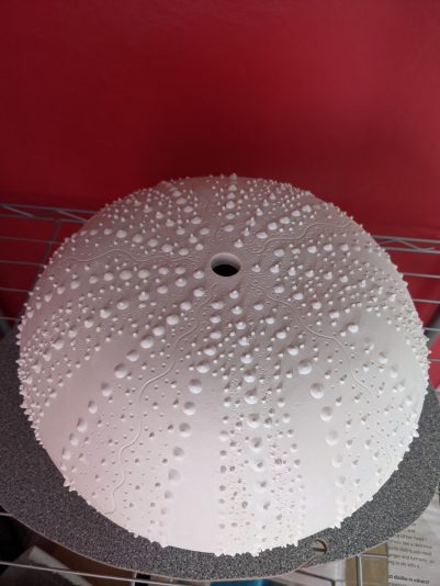 PXL_20210910_071910516