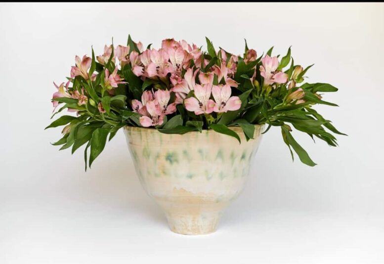 inbound5937865074213477006