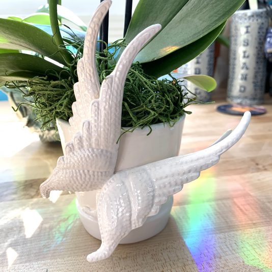 03F98A3A-B38A-4124-9AEF-D667E6AB49DB