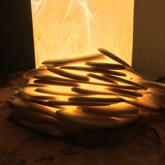 00487787-D63C-4C85-B775-6F2FB9B31A4C