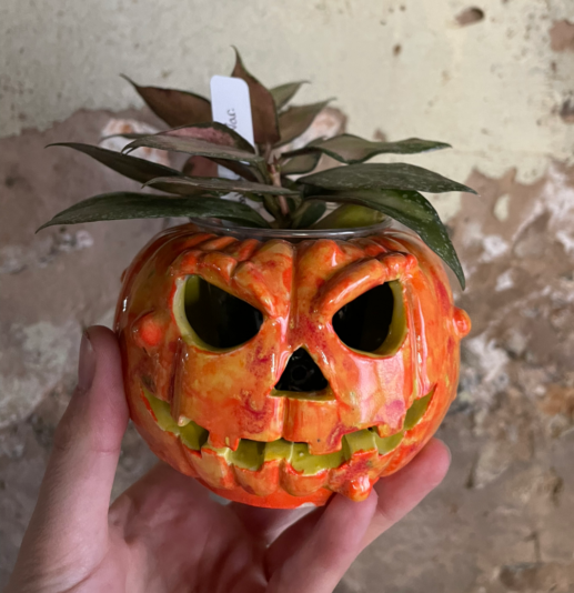 896F6368-F7DB-429A-8411-2165CA5086A7