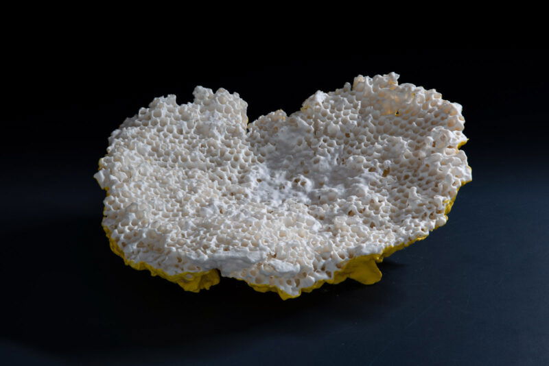 557FE43F-59F3-416C-A073-DADA02D2B6DA