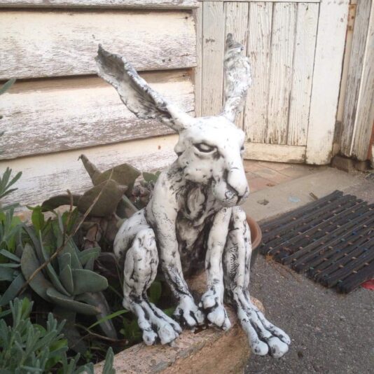 902583FB-D31C-4A44-9846-05FFD7D0705D