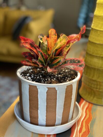 C82AB0BD-72A1-456E-8335-A8807ADA2CC7