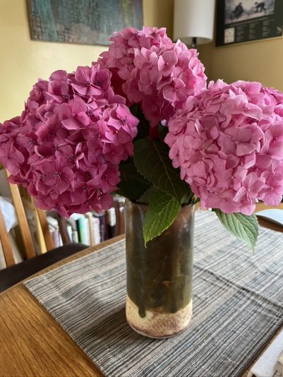 2508443B-1740-47F4-890C-C1C5C7E86D07_1_105_c