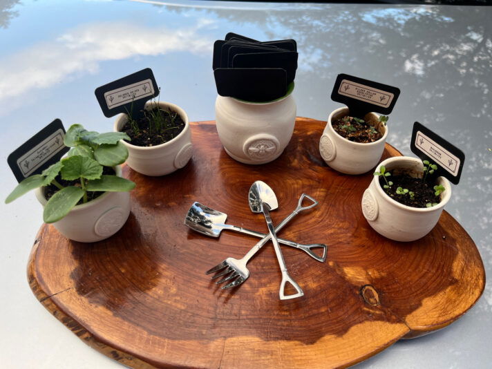 DB36D1F4-4413-4495-832C-8DDCABE64DBF