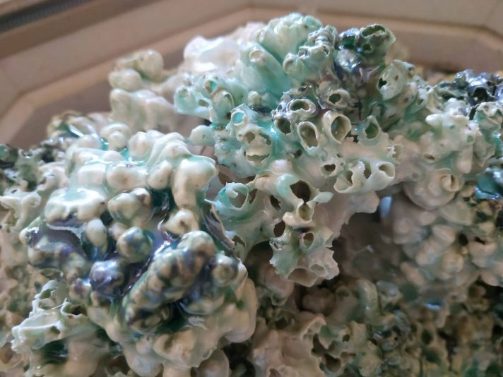 אי האלמוגים