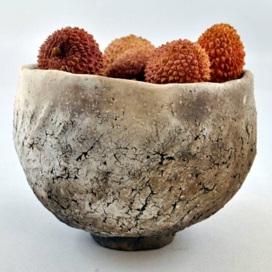 51373611_2183291018358367_4287485952596639744_n