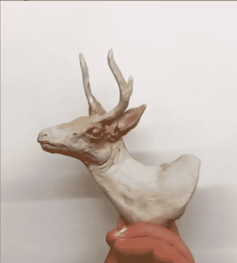 Screen Shot 2021-01-27 at 12.44.53 PM