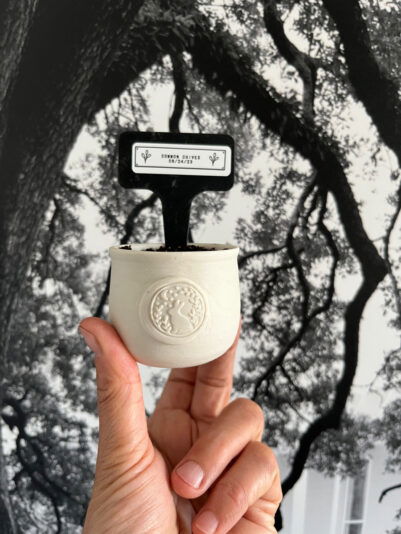 5C29A97B-0E78-4D4F-9EFF-AE11C4ACCC6B