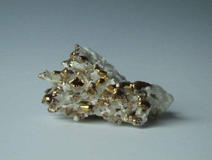 03Howard_BleachedCoral