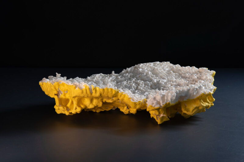 EF4E29E3-B5FE-45B8-91B5-5B326E144DB3