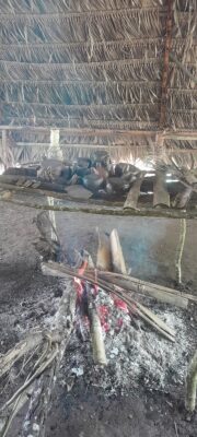 f31e6485-13fd-4d57-a9fc-8ca55fa49775