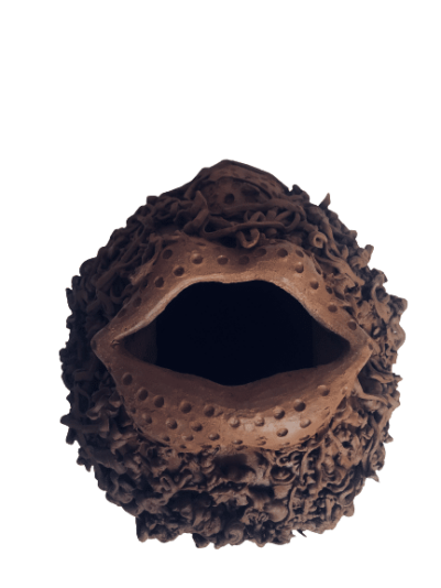 IMG_2202-removebg-preview