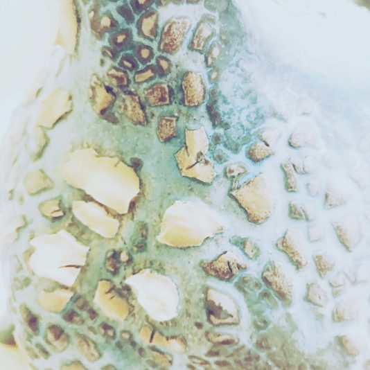 60DB6B61-6DF0-42FF-B092-5B40384EA544