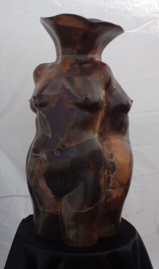 ACE7CBC4-CCF7-4C37-B4BC-454EE1D6D5A8_1_105_c