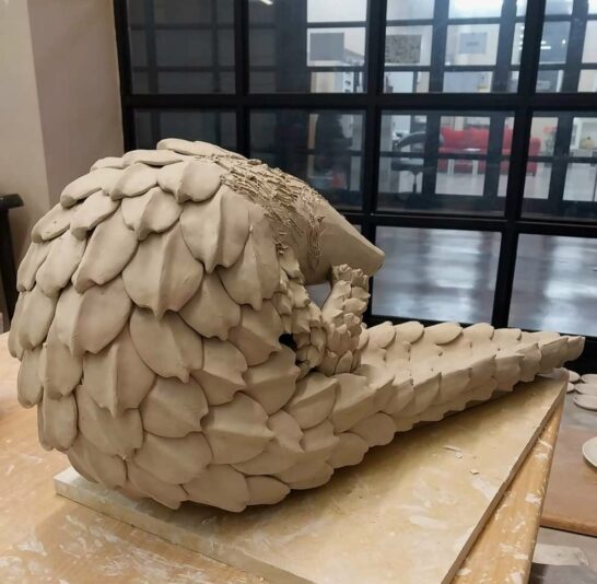 FB_IMG_1652987908760