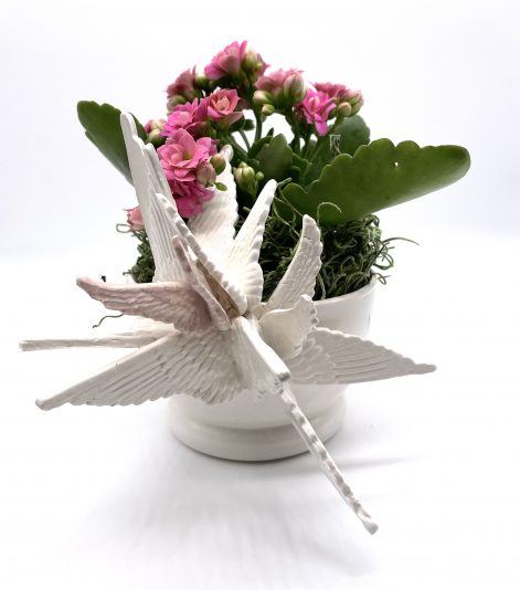 145F7112-8003-4A0E-A4B5-7FAC90669F95