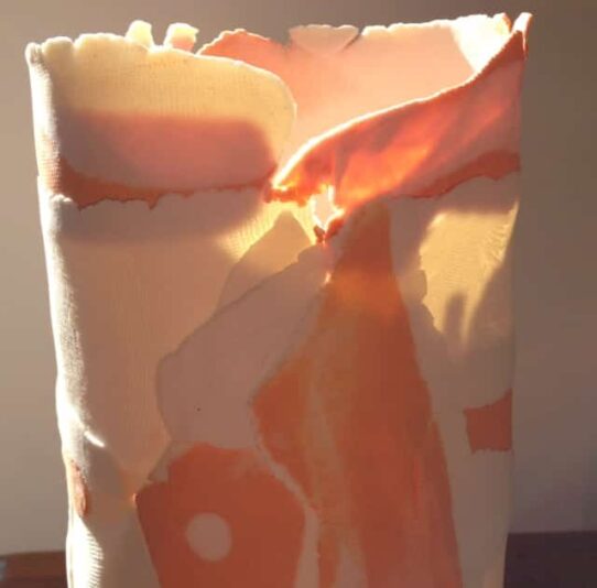 0716B6F3-A5C5-4E4B-A6B2-9F1ED6C313E2