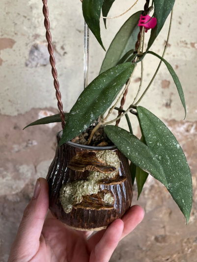 8D75B6B6-10A0-4F9D-8C87-6063A6EA0C97