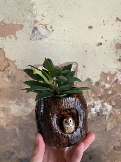 83D937CF-681E-4290-BECC-13243ADE081F