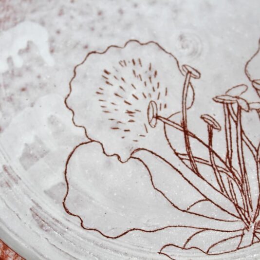 Gulmohar single bloom 9 plate closeup